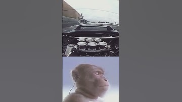 VTEC Just Kicked In Yo Honda NSX ITB