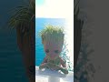 Groot #travel #groot #grootstatus #grootedit #Sea #ocean #sun #waves #new #newtrend #trending #fun j