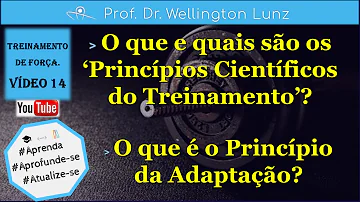 O que seria o princípio da adaptação * sua resposta?
