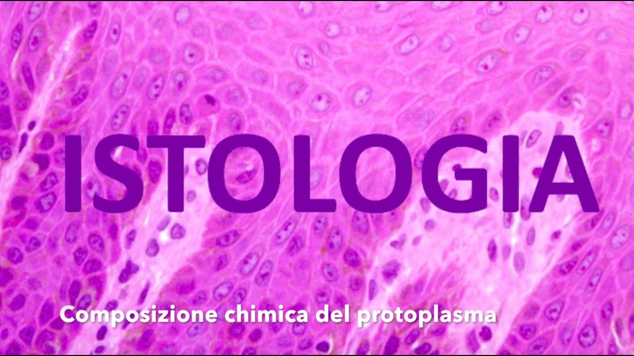 ISTOLOGIA Composizione chimica del protoplasma