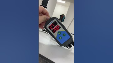 Sunday morning - facility and thermostat check #shorts #facility #snakes #boaconstrictor #reptiles