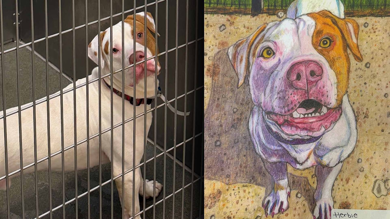 Inmates' Artwork Helps Shelter Dogs Find Forever Homes