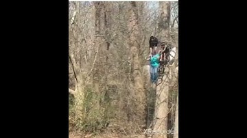 zip line fails
