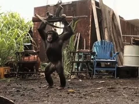 Крутая обезьяна с калашом