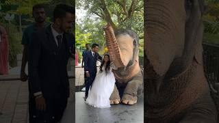 එයා මනමාලි බලන්න ඇවිත් 💗 #trending #viralvideo #shortvideo #shorts