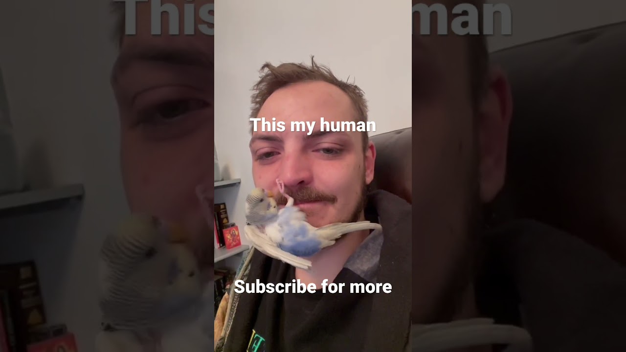 😍😍 More of Obi to come 😍😍 