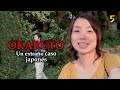 OKARUTO Un Extraño Caso Japonés | RESUMEN y EXPLICACIÓN