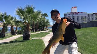 Laughlin Nevada Bank Fishing Colorado River