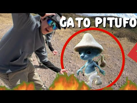 GATO PITUFO en el “cañón del marro”🔥🔥(Algo anda mal)😓