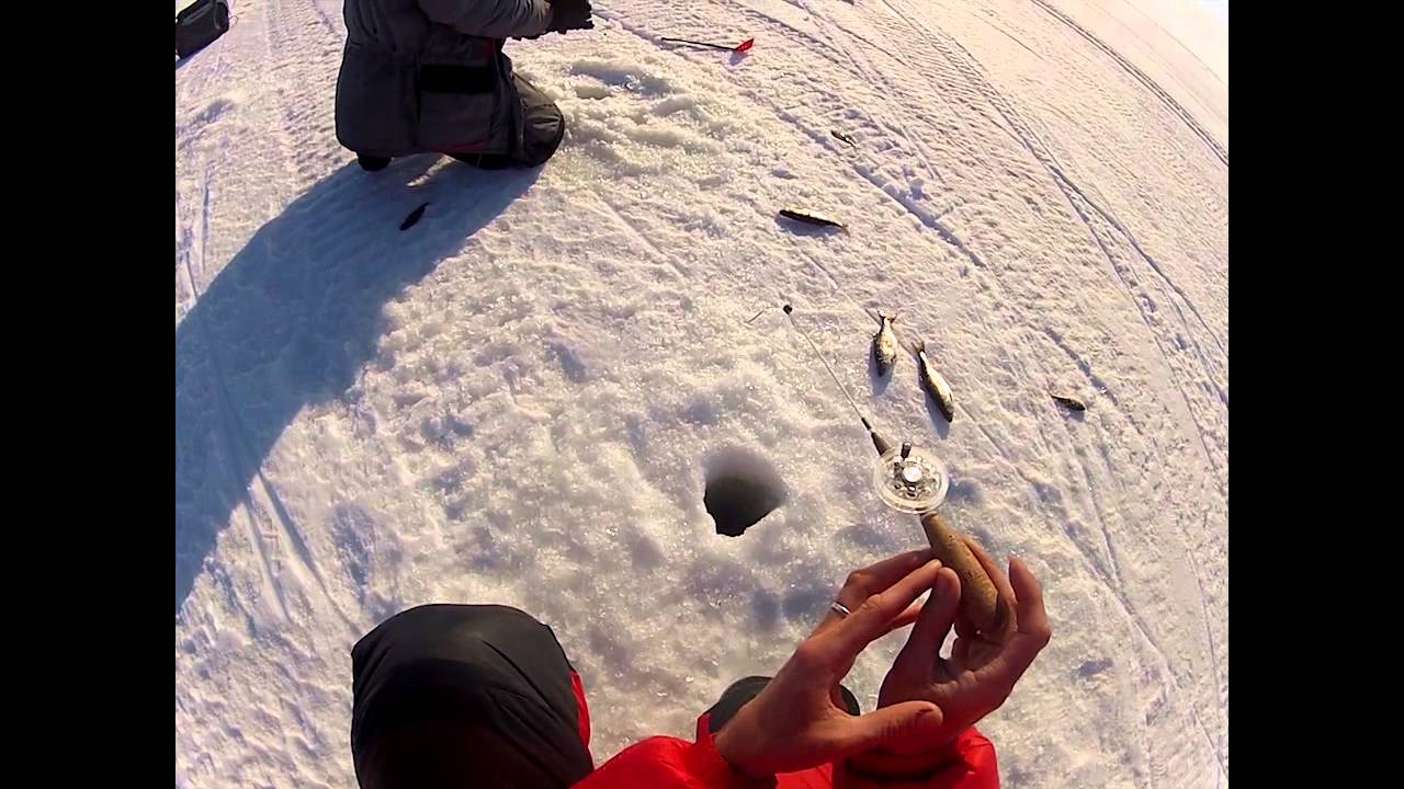 Зимняя ловля плотвы на чёртика Уловка