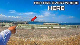 People Travel from EVERYWHERE to Fish this Old Florida Pier!