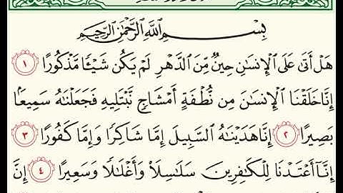 سورة الإنسان للشيخ زكي داغستاني رحمه الله