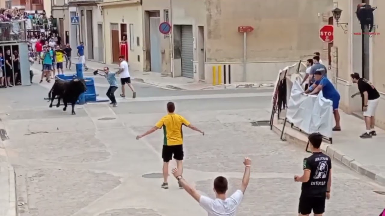 ¡¡Feliz Año 2026!! 🎆 | Videoclip Especial Bous a l’Horta Nord 2025 🐃🔥