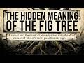 The Fig Tree Prophecy: Is the Clock Ticking for This Generation?