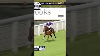 Remember The Name 1.1M Guineas Frankel Colt Ancient Egypt Makes It Two From Two At Goodwood