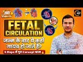 Fetal Circulation Explained - Placenta to Heart | 360 Degree One Shot Series🔥| Siddharth Sandu Sir