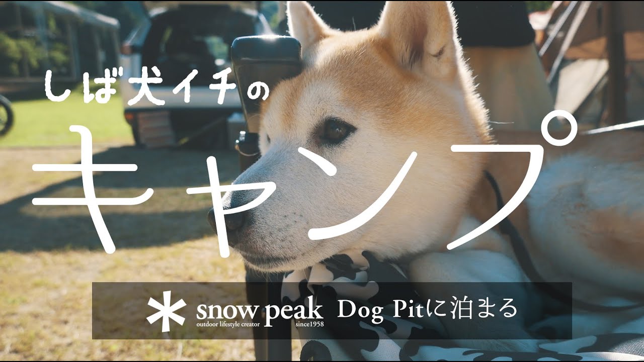 スノーピークドックピット ひきたち