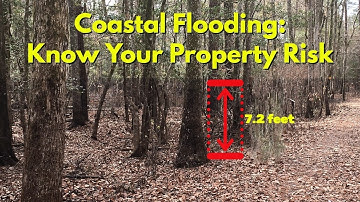 FEMA Flood Maps: Access, Download, Print