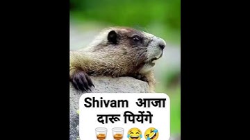 most viewed youtube shortsviral shortsbest youtube shorts