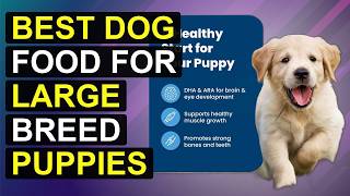 Top 5 Best Dog Food For Large Breed Puppies | Top Rated Dog Food For Large Breed Puppies