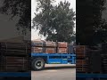 couplock system for external scaffolding..