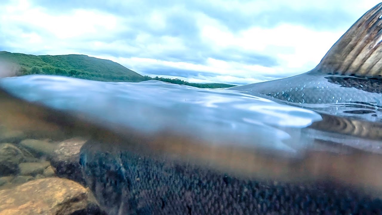 Lohet peräkkäisillä laskuilla – Teno 2019