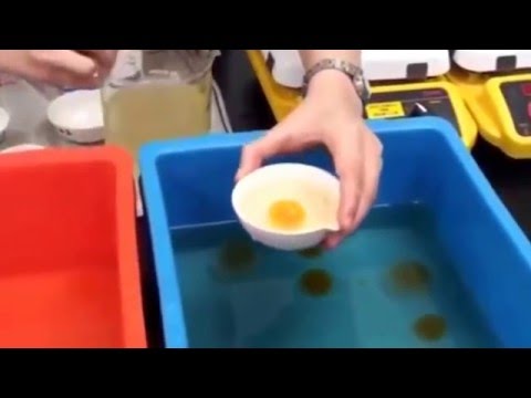 Video: Bir Qaynadılmış Yumurtanı Necə Izah Etmək Olar
