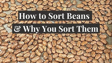 How to Sort Beans and Why You Sort Them