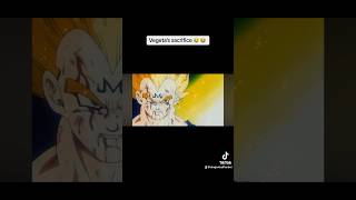 Vegetas Sacrifice Against Buu Made Me Cry