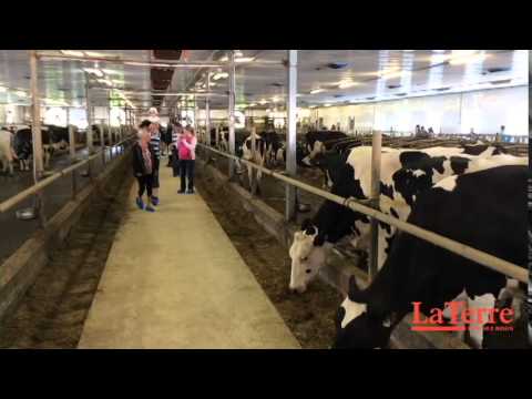 Ferme Phamilou - Portes ouvertes sur les fermes du Québec