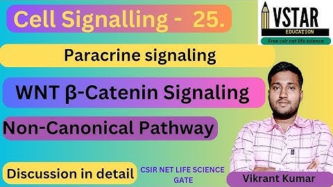 wnt signaling Pathway | wnt non canonical pathway | wnt β-Catenine signaling Pathway