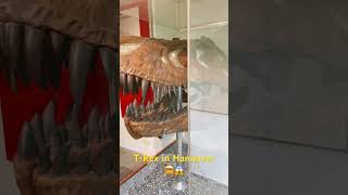 #museum #travel #trex #discoveringhistory #history
