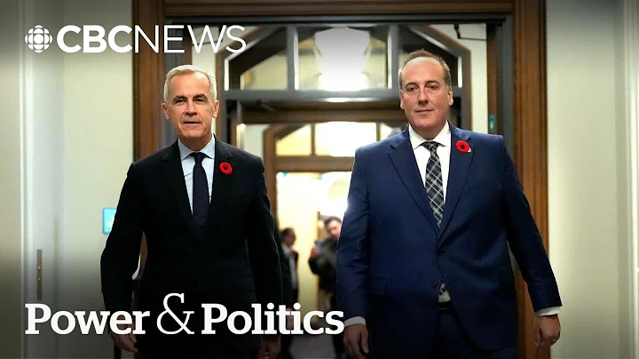 Will more Conservative MPs quit and join the Liberals? | Power & Politics
