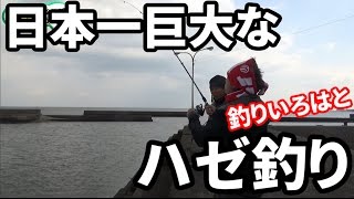 釣りいろはと日本一大きくなるハゼを狙う！