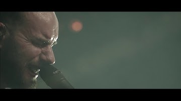 De Staat - She