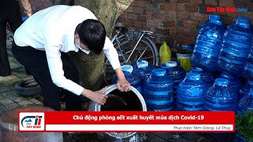 Chủ động phòng sốt xuất huyết mùa dịch Covid 19