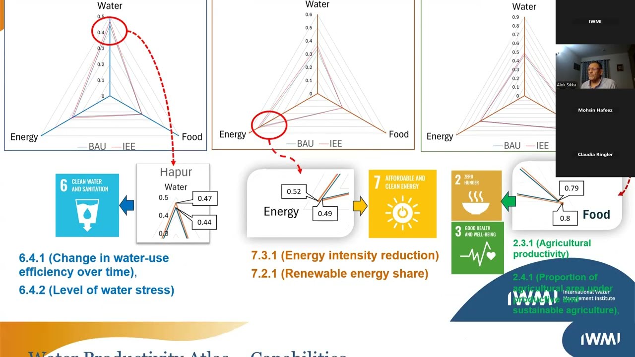 Water-energy-food-environment nexus: A regional guide for South Asia