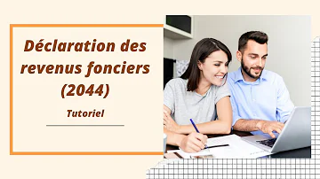 Comment compléter déclaration 2044 ?