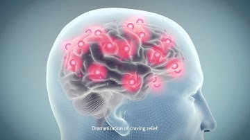 The Science Behind the Patch: How NicoDerm CQ Helps Prevent the Urge to Smoke Cigarettes