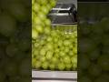 Let's clean these grapes and put them away! #asmr