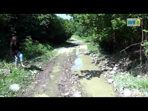 ლამფის შუქით განათებული