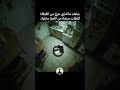 كاميرا تسجل لحظة خروج جن من قطة أليفة والنهاية مأساوية