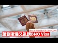 BNO Visa 葉劉淑儀又胡說八道 黃世澤幾分鐘 #評論 20210202