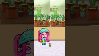 Alive Cactus With Pied Piper