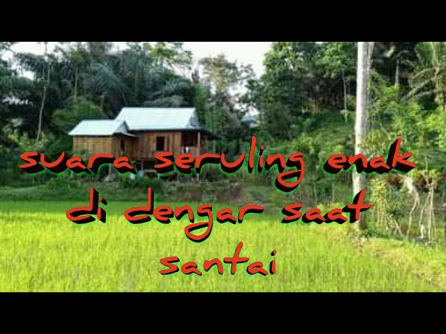 Suara Suling Sunda yang enak di dengar saat santai di barengin suara air sungai #Suling class=