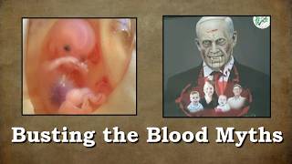 Busting the Blood Myths (Leviticus 17)