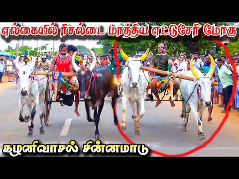 கழனிவாசல்  சின்னமாடு பந்தயம் 1/07/2026#krish_studio_kattumavadi 