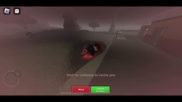 Invisible custom bots | Evade