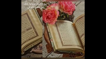 بحر فياض حسن..تلاوة الصفحة ٣٨٢ من سورة النمل برواية خلف عن حمزه الكوفي