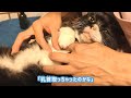 引っこ抜いたあとに気付いてかなり焦りました...